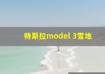 特斯拉model 3雪地